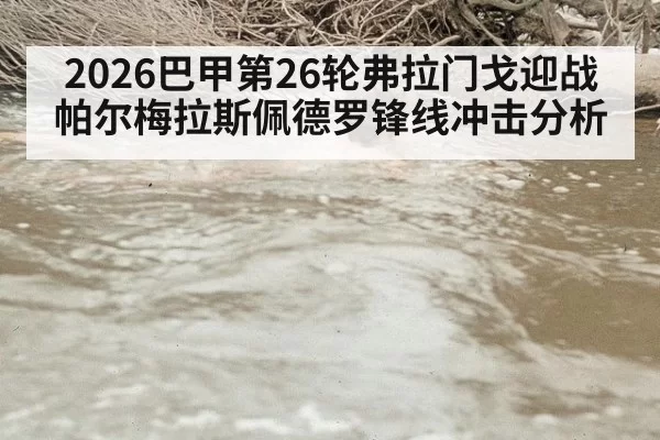 2026巴甲第26轮弗拉门戈迎战帕尔梅拉斯佩德罗锋线冲击分析